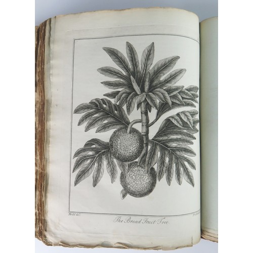 172A - Culpeper's Herbal, Printed for The Author, And Sold At The British Directory Office. An undated copy... 