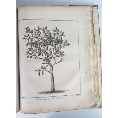 172A - Culpeper's Herbal, Printed for The Author, And Sold At The British Directory Office. An undated copy... 