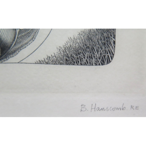 1028 - Brian Hanscomb RE, b. 1944, 'Snail Energy', Copper Plate Engraving, Limited Edition Print 2/95, 12 x... 