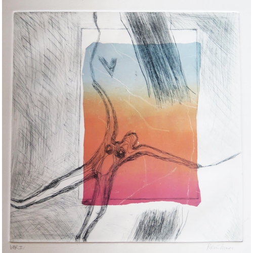 1042A - Seven Untitled Chine Colle Prints by Contemporary Artist Rein Innes, all c. 30 x 30cm, Unframed