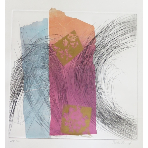 1042A - Seven Untitled Chine Colle Prints by Contemporary Artist Rein Innes, all c. 30 x 30cm, Unframed