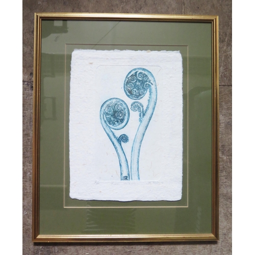 1061 - Jill Roche, Contemporary New Zealand Artist, 'Koru Vis a Vis' 2001, Coloured Etching on Handmade Pap... 