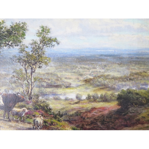 1084 - George William Mote (1832 - 1909) British Landscape Painter, View from Coneyhurst Hill - Surrey, Oil... 