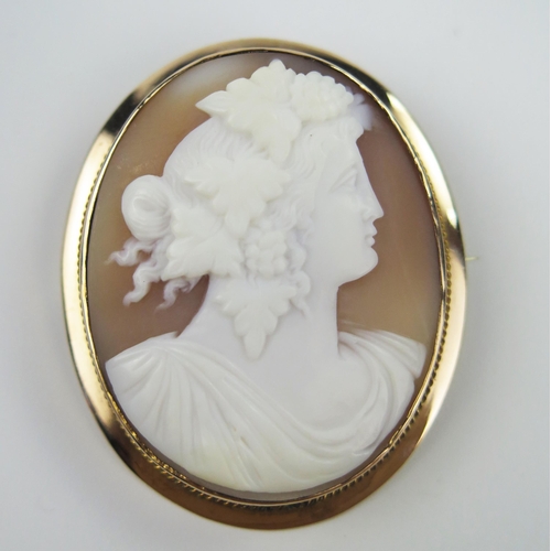 254 - 9ct Gold Shell Cameo Brooch decorated with a classical female bust, 47x38mm, 12.4g