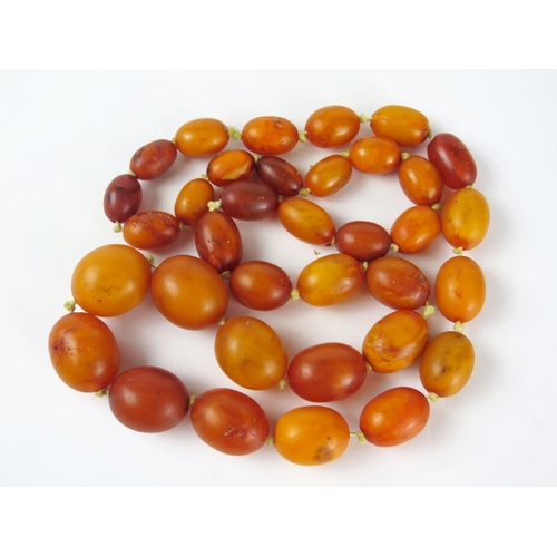 394 - Baltic Amber Bead Necklace, 28.5