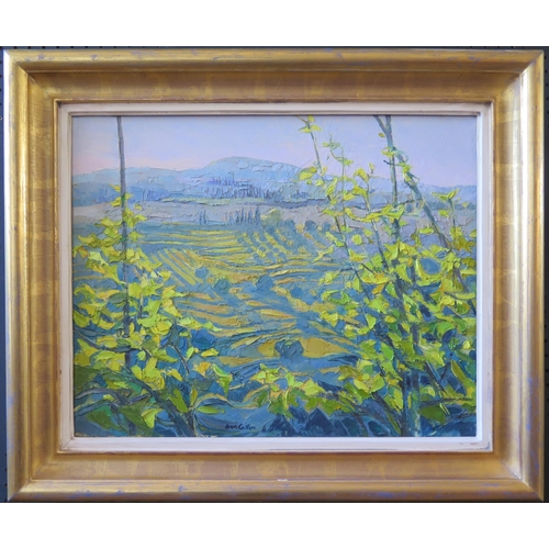 1008 - Alan Cotton (b.1938) British Landscape Artist, 'Tuscany Vineyards Near San Gimignano', Oil on Canvas... 