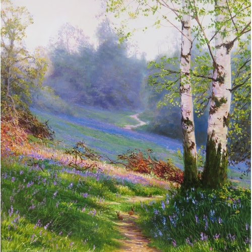 1018 - David Smith b 1949, British Landscape Painter, 'A Carpet of Bluebells', Oil on Board, Signed, 29 x 2... 