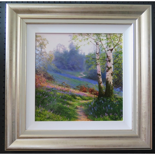 1018 - David Smith b 1949, British Landscape Painter, 'A Carpet of Bluebells', Oil on Board, Signed, 29 x 2... 