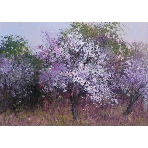 1030A - Colin Maxwell Parsons b.1936 British Painter, Inspired by Impressionist Landscape Painting, 'Cherry ... 