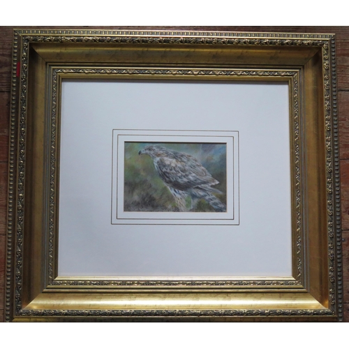 1030B - Joel Kirk (b. 1948) British Painter of Wildlife, The Hawk, Pastel on Paper, 16 x 12cm (excl. frame) ... 