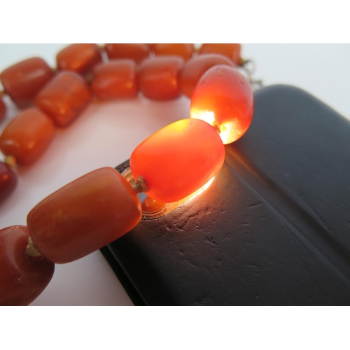 283A - Baltic Amber Bead Necklace and pair of earrings, largest bead 19.5x15.5mm, 50.3g