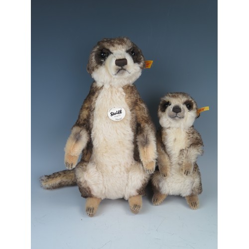 1875 - Steiff Meerkat Pair - (1) Mungo 071249 (30cm), (2) Cockie 045257 (20cm)