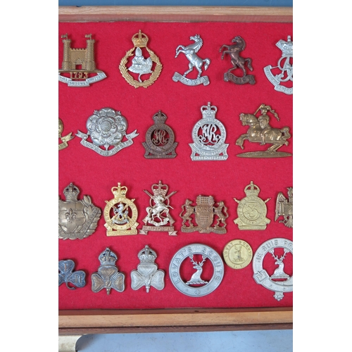 146 - Collection of Military Cap Badges including Royal Devon Yeomanry, Royal Suffolk Hussars, Queen's Own... 