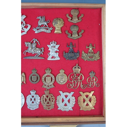 146 - Collection of Military Cap Badges including Royal Devon Yeomanry, Royal Suffolk Hussars, Queen's Own... 