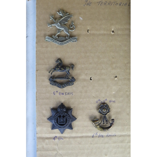 170 - Collection of Military Cap Badges including 102 and 104 Bengal Fusiliers, Mine Clearance Service, Gl... 