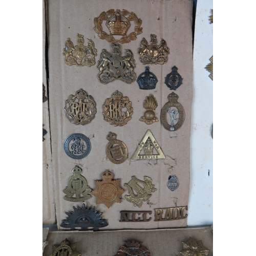 171 - Collection of Military Cap Badges including R.N.D., Royal Marines, Navy, Scottish King's Borderers, ... 