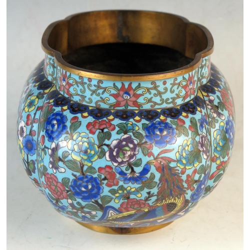 243 - Chinese Cloisonné Jardinière, of oval lobed form, the central panel decorated with a yellow dragon c... 