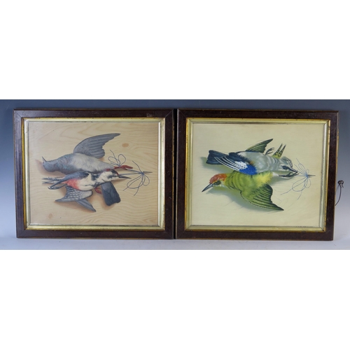 364 - Pair of Still Life Paintings with Birds including woodpeckers, painted in relief on a wood effect gr... 