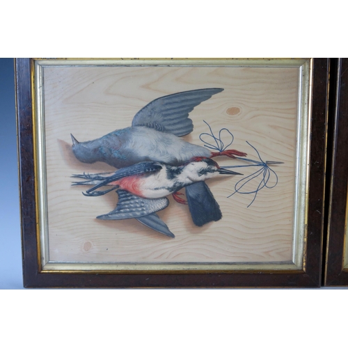 364 - Pair of Still Life Paintings with Birds including woodpeckers, painted in relief on a wood effect gr... 