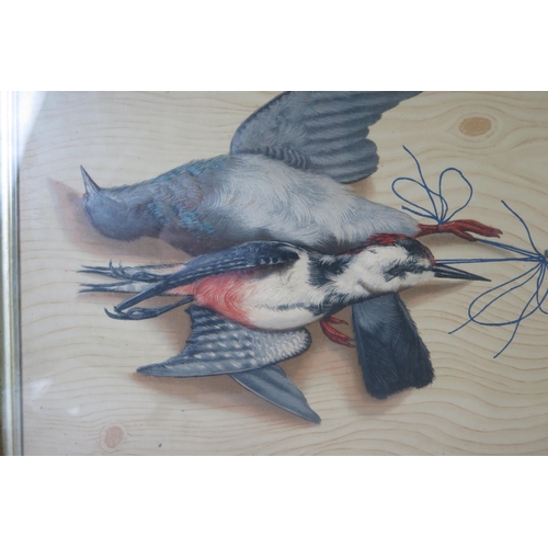 364 - Pair of Still Life Paintings with Birds including woodpeckers, painted in relief on a wood effect gr... 