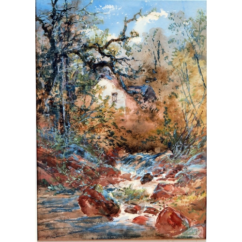 373 - William Widgery (1826-1893), Cottage beside woodland stream, watercolour, 57x44.5cm including glazed... 