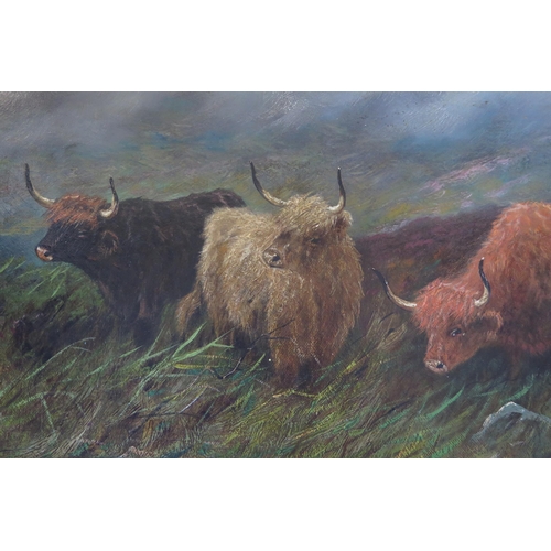 377 - 19th Century English School, Highland cattle, oil on canvas, indistinct signature, 85x59cm including... 