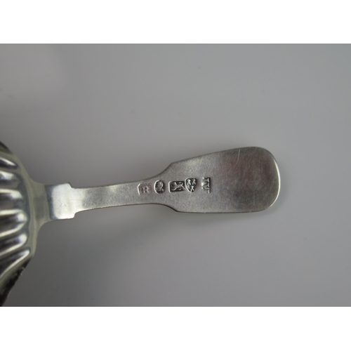 1167 - A William IV silver Fiddle and shell pattern caddy spoon, maker john Walton, Newcastle 1831, initial... 