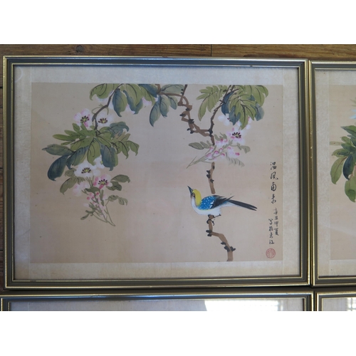 1673 - Four 20th Century Chinese paintings on silk, of birds on summer flowering shrubs, signed, 25x34.5cm.
