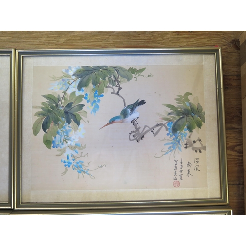 1673 - Four 20th Century Chinese paintings on silk, of birds on summer flowering shrubs, signed, 25x34.5cm.