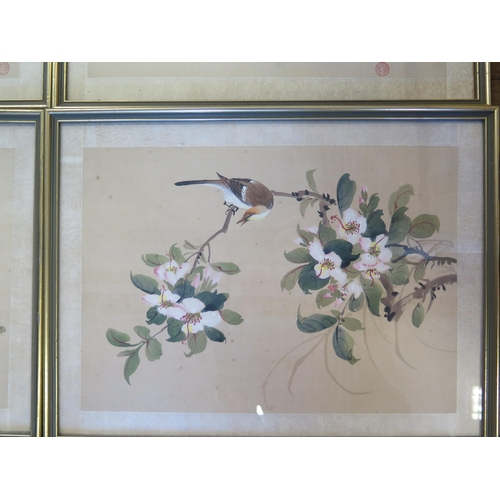 1673 - Four 20th Century Chinese paintings on silk, of birds on summer flowering shrubs, signed, 25x34.5cm.