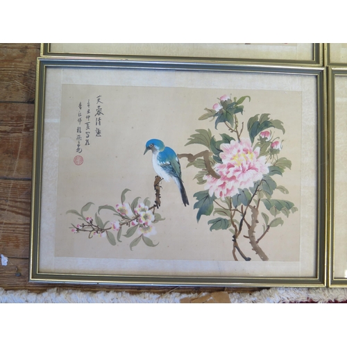 1673 - Four 20th Century Chinese paintings on silk, of birds on summer flowering shrubs, signed, 25x34.5cm.