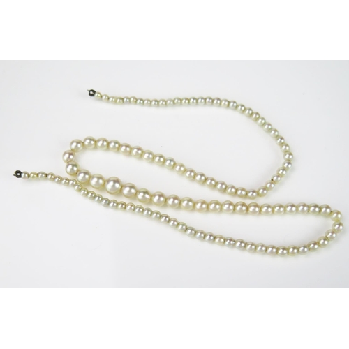 803 - A Graduated String of Untested Pearls, largest c.6mm, 360mm long, clasp loose.