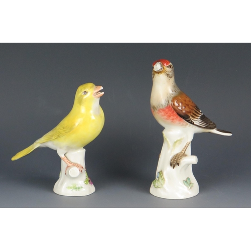 1258 - Two Meissen porcelain finches, perched on tree stumps, 13cm and 12 cm high.
Both with damaged beaks.