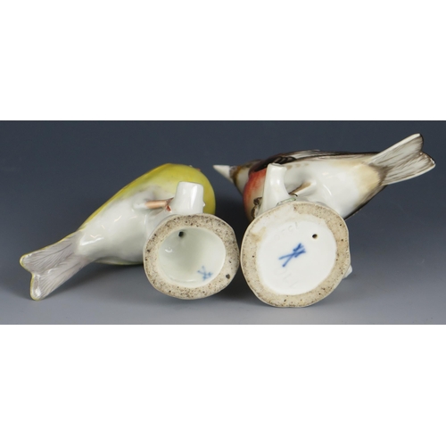 1258 - Two Meissen porcelain finches, perched on tree stumps, 13cm and 12 cm high.
Both with damaged beaks.