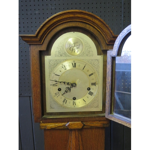 1130 - An oak cased dwarf longcase clock of arched outline, with 18cm arched silvered Roman dial, the tripl... 