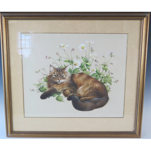 1366 - Lesley Anne Ivory (b.1934) Prolific Painter of Cats, watercolour study of a cat amongst anemones, si... 