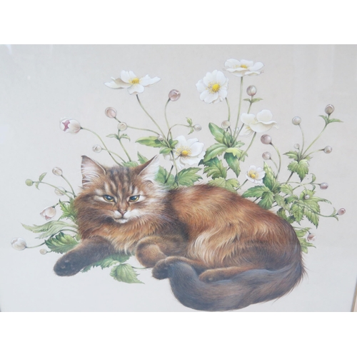 1366 - Lesley Anne Ivory (b.1934) Prolific Painter of Cats, watercolour study of a cat amongst anemones, si... 