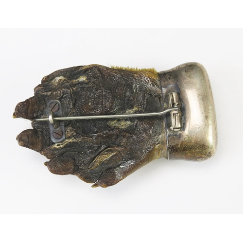 573 - An Edward VII silver mounted otter's paw brooch, maker JSB, London, 1908, 8cm long.