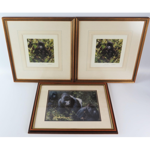 1390 - David Shepherd, Baby Gorilla, Ltd Edn print  signed in pencil by the artist No 373/1500, another ide... 