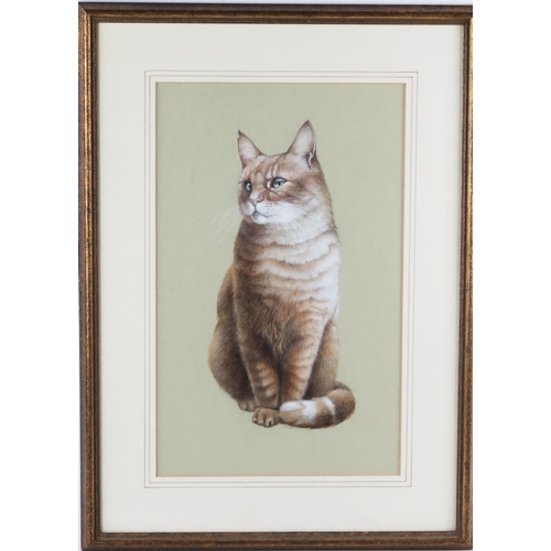 1400 - Leslie Ivory, semi recumbent cat, watercolour, signed Lesley, 30 x 19cm.