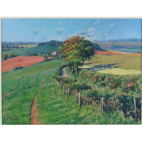 1413 - Agricultural Landscape, pastel, indistinct signature, framed & glazed, 53.5x47cm