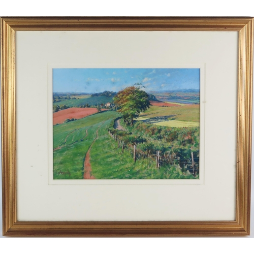 1413 - Agricultural Landscape, pastel, indistinct signature, framed & glazed, 53.5x47cm