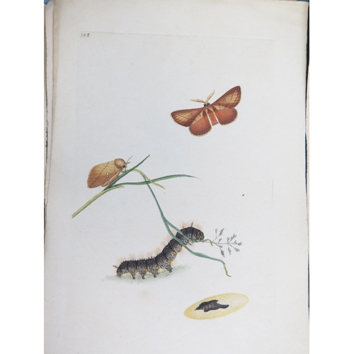 1403B - A Collection of Insect Bookplates _ butterflies, moths, beetles, dragonflies, etc. _ c. 123, circa e... 