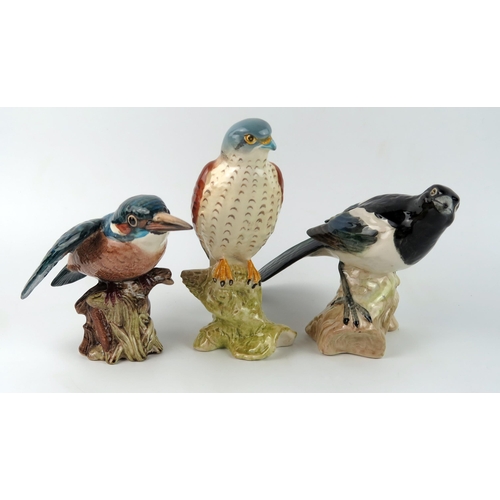 1381 - Three Beswick bird figurines including Kingfisher, Peregrine Falcon, and Magpie. (3).