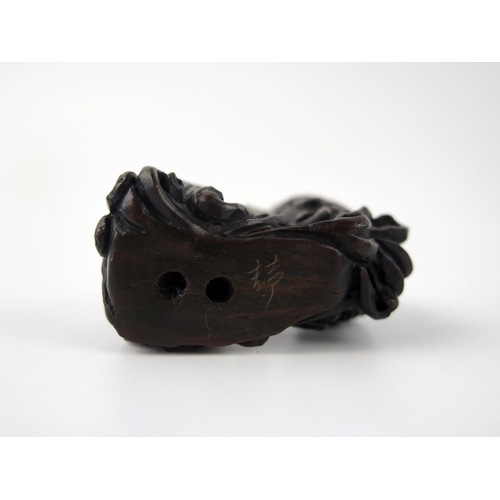 1432 - A Japanese carved and stained hardwood netsuke in the form of two leaping carp, unsigned, 5cm wide.