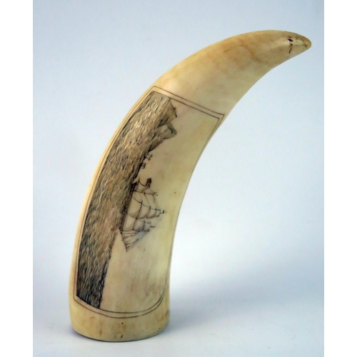 1573 - A scrimshaw whale tooth, decorated with three-masted man-o-war, off an island, 15cm long.