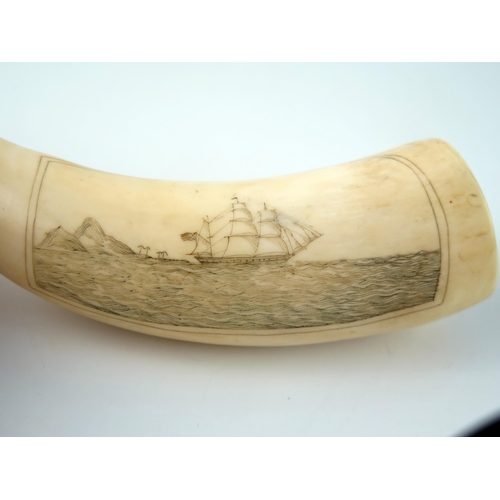 1573 - A scrimshaw whale tooth, decorated with three-masted man-o-war, off an island, 15cm long.