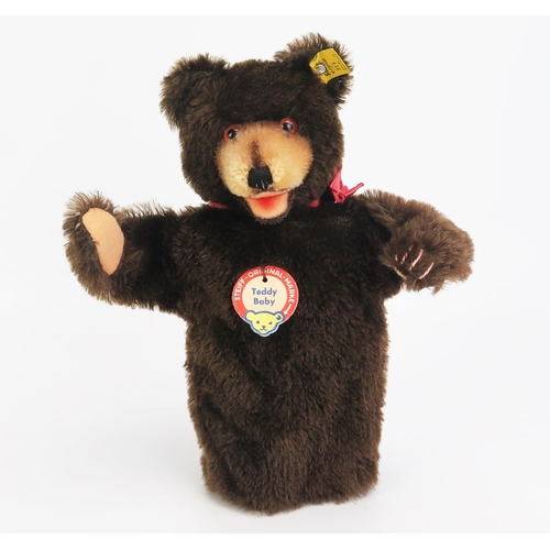 1277 - Steiff Vintage Teddy Baby 317 Hand Puppet - dark brown, light brown nose and paws, dark pink ribbon,... 