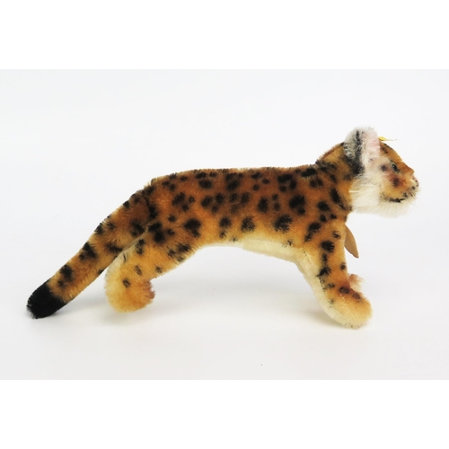 1279 - Steiff Vintage Standing Tiger 1310/0 - glass eyes, complete with yellow ear tag, button and chest ta... 