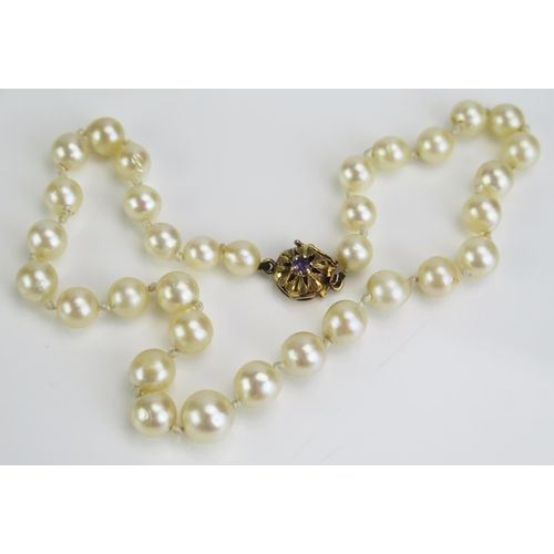 107 - A Graduated untested Pearl Choker with a 9ct gold and amethyst clasp, largest pearl c. 10x9.5mm, 14